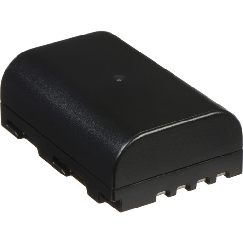 Panasonic DMW-BLF19 Battery 002